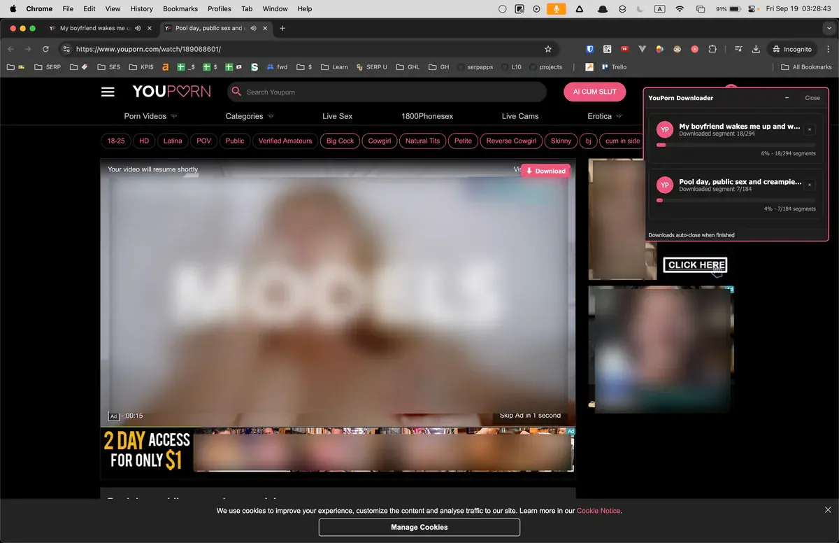 YouPorn Video Downloader browser extension screenshot 4