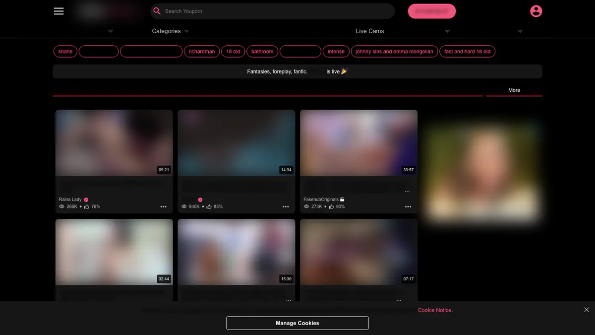 YouPorn Video Downloader browser extension screenshot 7