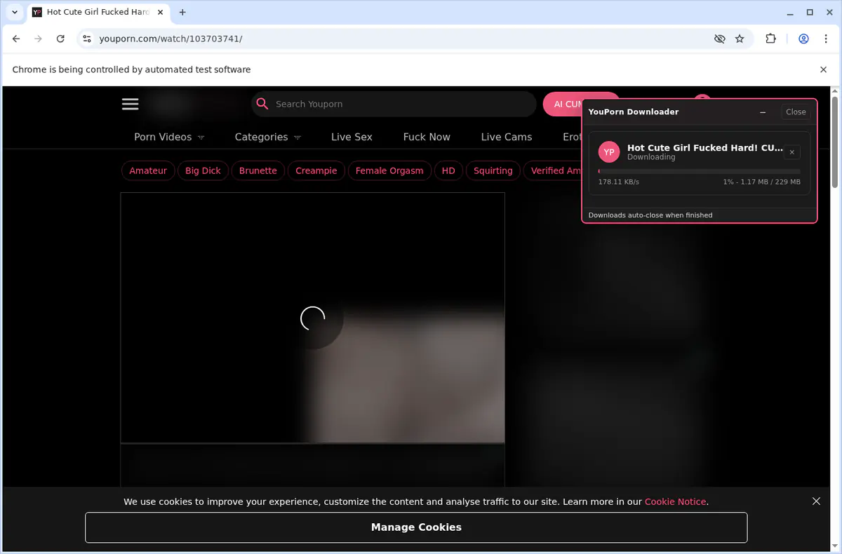 YouPorn Video Downloader browser extension screenshot 8