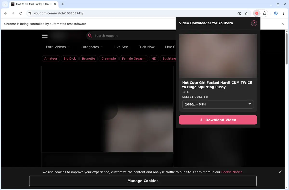 YouPorn Video Downloader browser extension screenshot 9