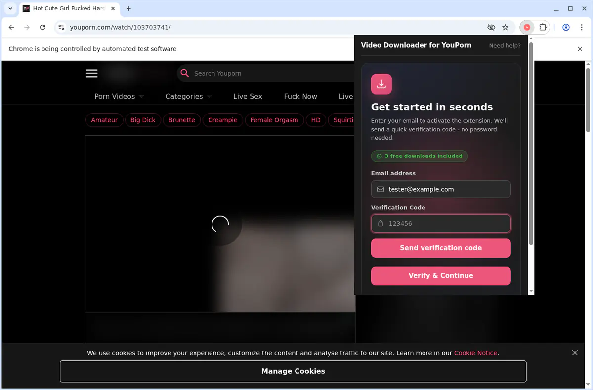YouPorn Video Downloader browser extension screenshot 10