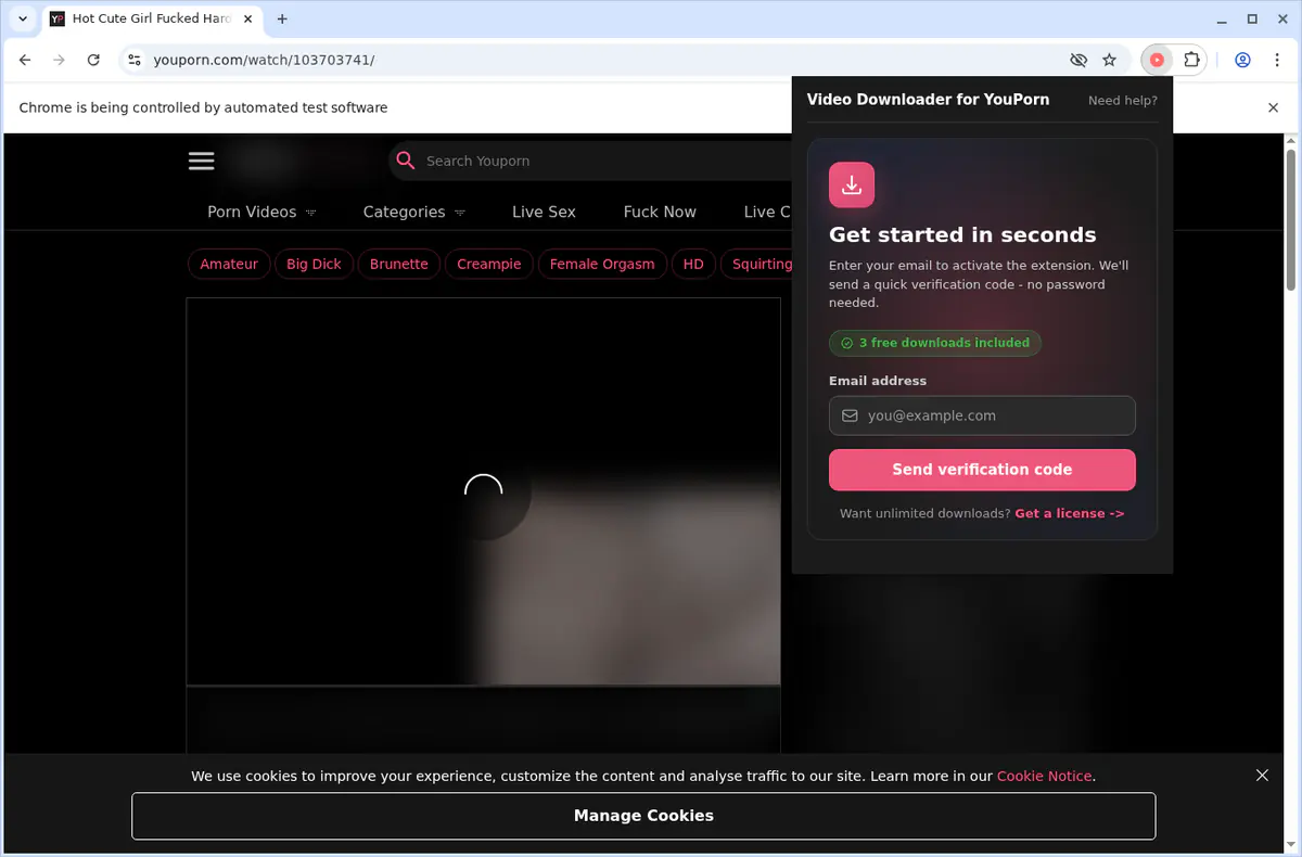 YouPorn Video Downloader browser extension screenshot 11